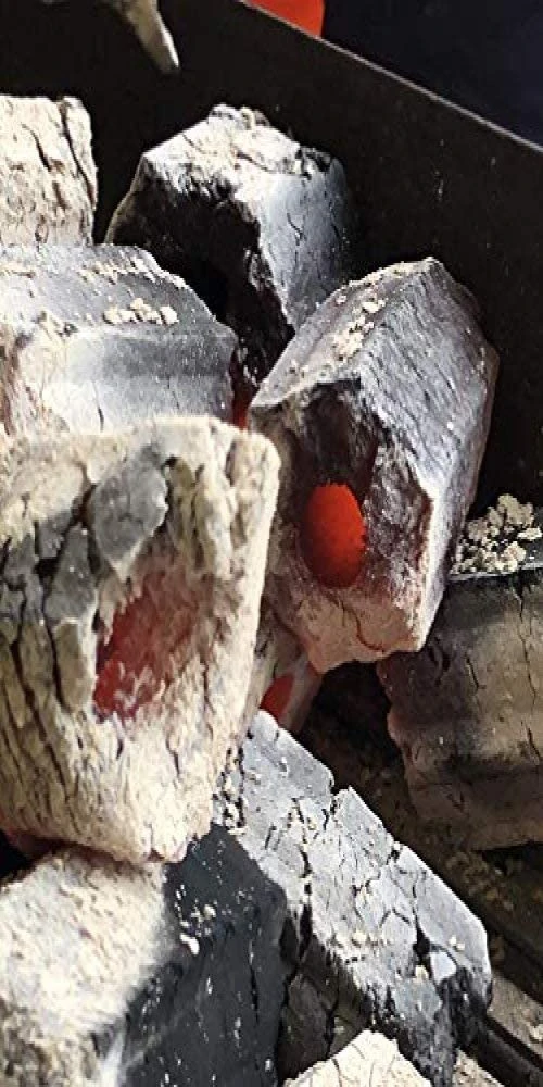 Honeybrix Premium Charcoal 10kg Honeybrix Premium Charcoal 10kg -Traeger Pellet Grills 618TXmdG0UL. AC SL1000