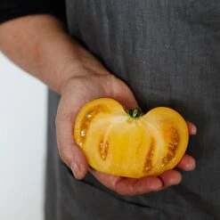 Ironclad "Santoku Knife" -Traeger Pellet Grills Knife heirloom 1000x 320eb9ec cb81 4167 8f10 3996cb4feb4e