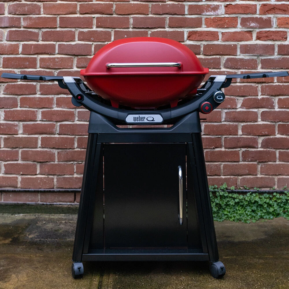 Weber "Family Q" Q3100N+ Weber "Family Q" Q3100N+ -Traeger Pellet Grills Q3100N Flame Red family meals