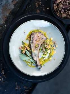 "Fire Kitchen" - Adam Roberts -Traeger Pellet Grills eb2c26 caf7bceb0ec24d89ad3a6f0c69f8a534 mv2