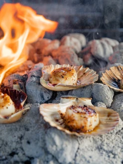 "Fire Kitchen" - Adam Roberts -Traeger Pellet Grills eb2c26 dc89dbbe407d4cbe8087283486f1d323 mv2